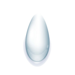 Realistic water drop ellipse vector