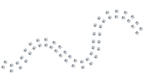 Easter Bunny Footprint Map Pointer vector image