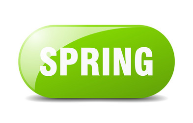 spring button sign key push vector image