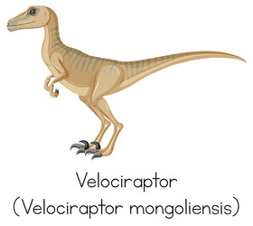 Wordcard for velociraptor standing vector