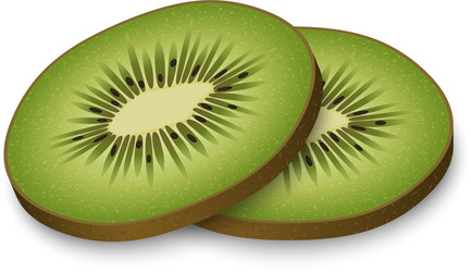 Sliced kiwi mockup realistic style vector