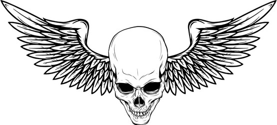 skull with bird wings Vector Image