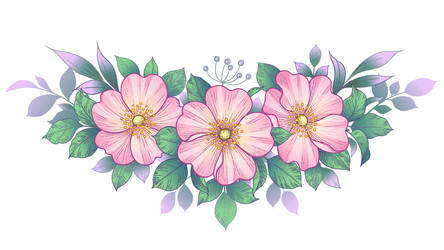Pink Dog Rose Flowers & Leaves Vector Image
