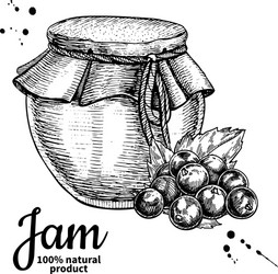 Red currant jam glass jar drawing fru Royalty Free Vector
