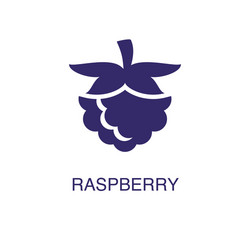 Raspberry element in flat simple style on white vector