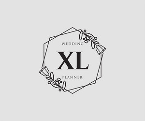 Xl Logo Vector Images (over 1,300)