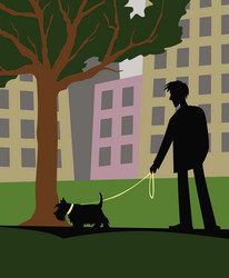 a walk with dog man scotch terrier vector