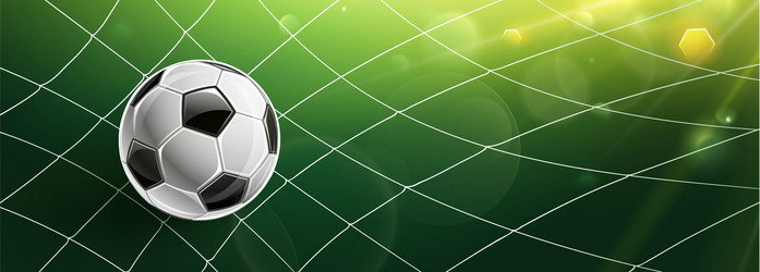 Soccer ball in goal Royalty Free Vector Image - VectorStock