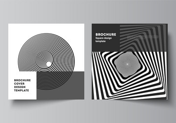 minimal layout two square format vector image