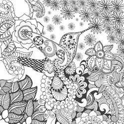 Floral Hummingbird Sketch Vector Image