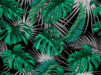 Tropical Monstera Leaves Pattern Vector Image