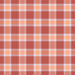 isolation texture textile pattern household check vector image