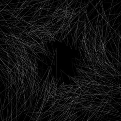 monochrome texture with random chaotic lines vector image