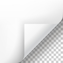 page curl with shadow on blank sheet of paper vector image