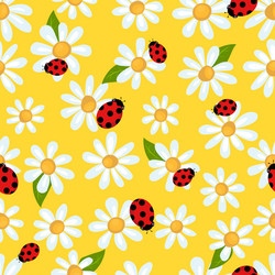 Seamless spring pattern with simple chamomile vector