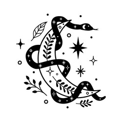 abstract magic with celestial snake moon stars vector image
