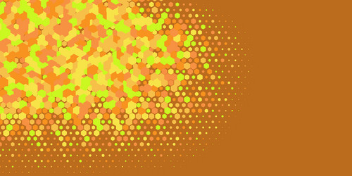 geometric multi size hexagon with color vector