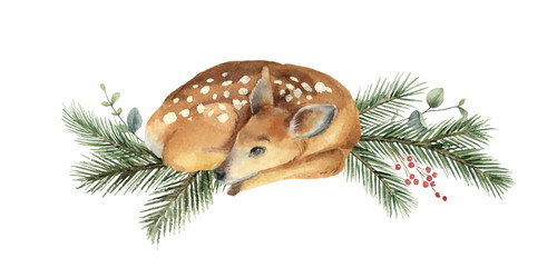 watercolor christmas card with fawn and fir Vector Image
