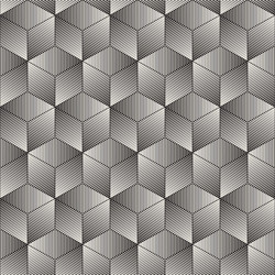 Geometric Lattice Pattern vector image