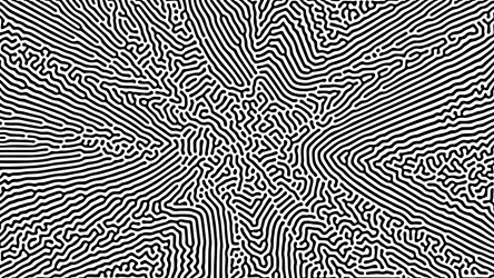 dense abstract pattern with black flowing lines vector image