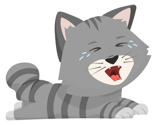 crying kitten character cute cartoon little cat vector