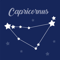 capricorn sign constellation icon on dark vector