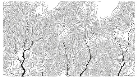growth pattern generative branching structure vector image