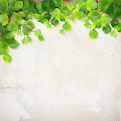 Wooden tree branch frame Royalty Free Vector Image