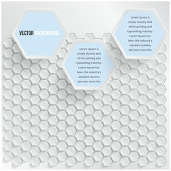 abstract background hexagon web and design vector image