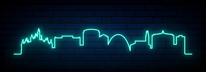Anaheim Neon Skyline at Night Vector Image