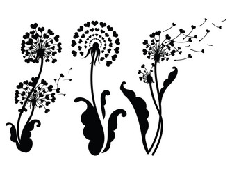 set dandelions with hearts collection Vector Image