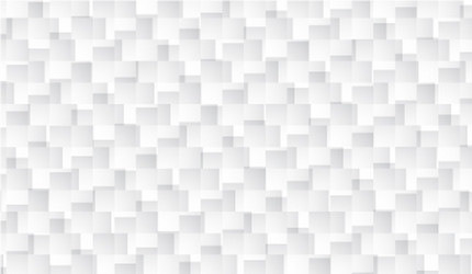 white rectangle pattern background random vector image