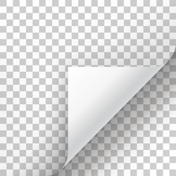 page curl with shadow on blank sheet of paper vector image