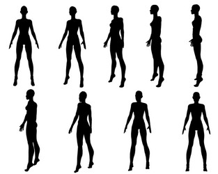 Sketch Anatomy Naked Vector Images (over 170)