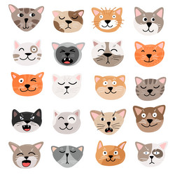 funny cats face emotions hand draw vector