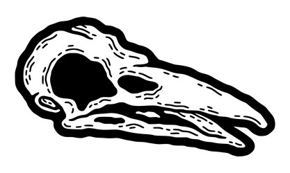 bird skull crow raven vulture skeleton vintage vector