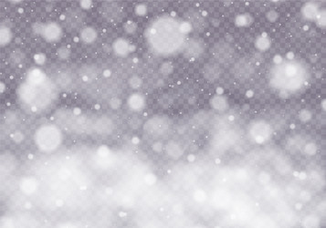 Falling snow effect vector