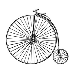 Vintage Penny Farthing Bicycle Vector Image