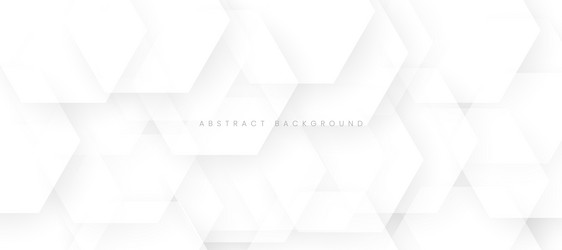 abstract background with hexagon texture vector image