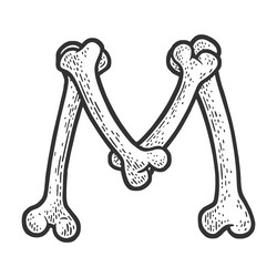 Bone M Letter Sketch Vector Image
