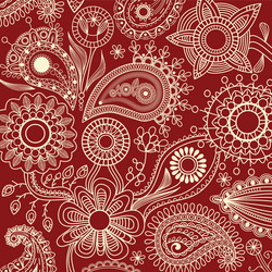 Floral Paisley Pattern Background Vector Image
