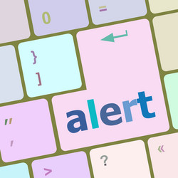 Alert button on the keyboard key vector