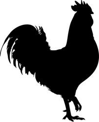 Black Rooster Silhouette vector