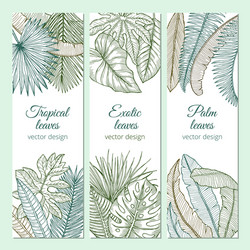 Tropical Palm Leaf Banners Vector Image
