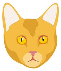 Cat icon yellow pet face kitten head vector