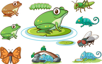 Cute Insects Mega Set In Graphic Flat Design Vector Image