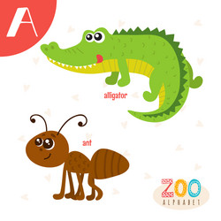Letter a cute animals funny cartoon vector
