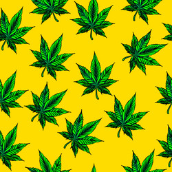 Nature leaf cannabis seamless pattern summer vector