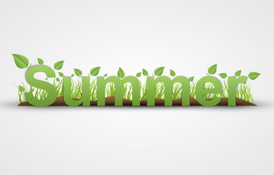 Summer text with green leaves on a white vector