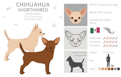 Chihuahua Cartoon Vector Images (over 1,800) Chihuahua Cartoon Vector Images (over 1,800)